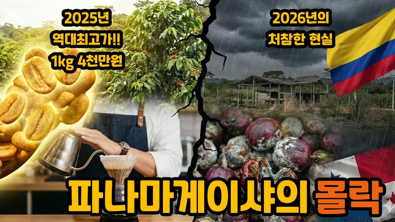 [전망]1kg 4천만 원 역대 최고가, 파나마 게이샤 르네상스의 종말인가?