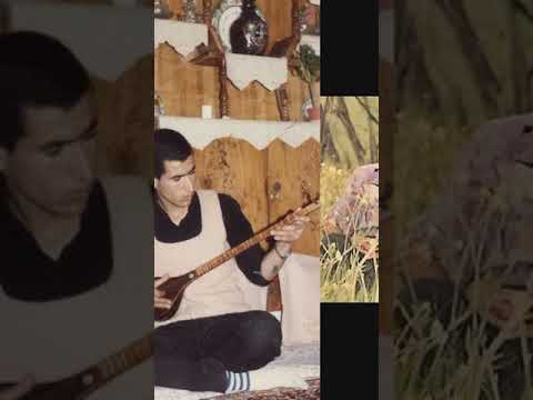 سه تار حسین جواهری دستگاه شور