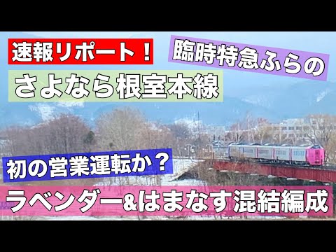 豪華！ラベンダー編成&amp;はまなす編成が初の連結で営業運転！さよなら根室本線！2日間限定運行の臨時特急ふらの乗車！