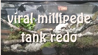 How Redoing a Millipede Tank Broke The Internet