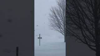 Download Lagu Winter takeover #canada #snowday #canadianwinter #snowvideo #snowfall #snowstorm #snowsurvival MP3