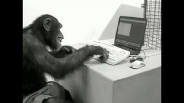 Delphi - For Statement Tables