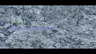 220116 Rendezvous Tonight v.03 - 4K Video