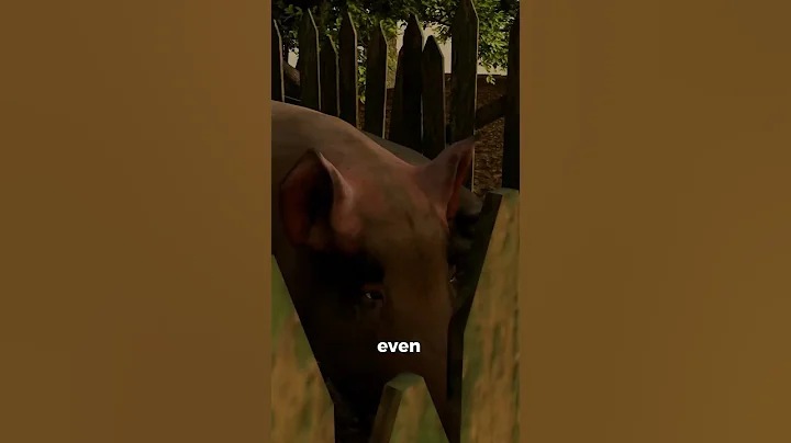"If a Pig Stares at You... RUN!".. #animation#trending  #popular