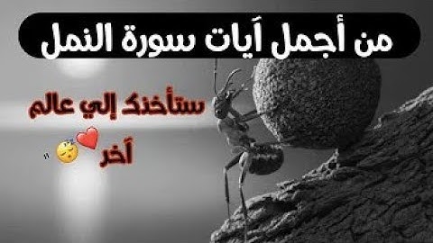سورة النمل كاملة تلاوة هادئة تريح القلب