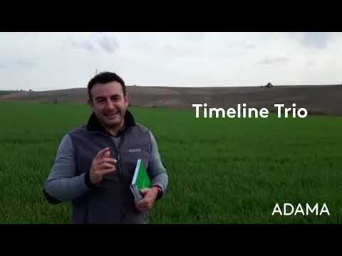 Video: De Las Malas Hierbas A Los Cereales Sanos