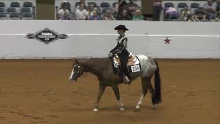 2019 06 27 Izzys Green Western Riding Awards