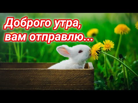 ❤️❤️❤️ПОЖЕЛАНИЕ НА ВЕСЬ ДЕНЬ❤️❤️❤️ С Добрым Утром Хорошего Дня. Доброе Утро! СТИХ