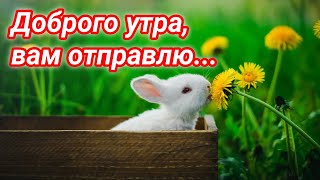 ❤️❤️❤️ПОЖЕЛАНИЕ НА ВЕСЬ ДЕНЬ❤️❤️❤️ С Добрым Утром Хорошего Дня. Доброе Утро! СТИХ