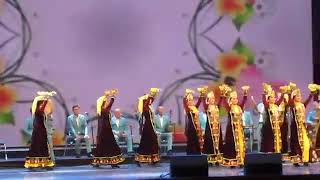 Doira Raqs navbahor ashula va raqs ansambli #dancer #Dilorom Madrahimova #Sherzod Kenjabayev