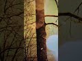 Surah Al Qadr