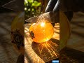 Loquat cutting satisfaction 😍