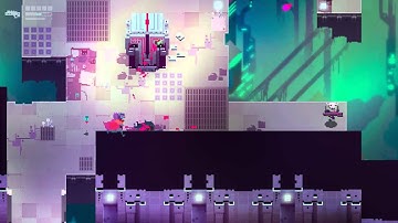 Hyper Light Drifter Secret Coat