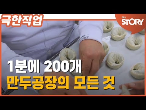 [극한직업] 1분에 200개, 하루 40톤의 만두가 생산되는 곳