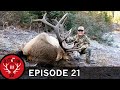 A Broken Leg and a Big Bull Elk! (Destination Elk V2: Episode 21)