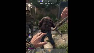 Cercavo cibo, ho trovato solo piombo e tristezza 🥫🚫