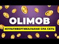 🙀 До $1000 за ЛИД?! Партнерская программа Olimob для заработка в Интернете на арбитраже трафика