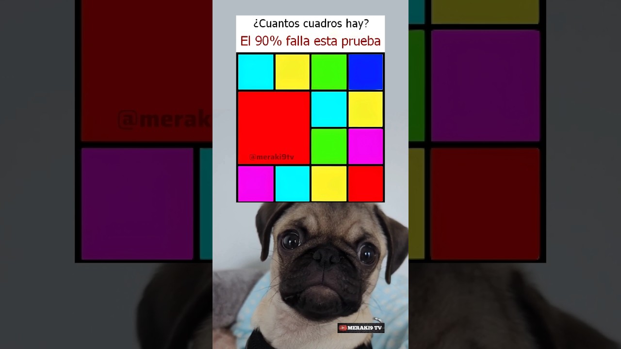 Cuantos cuadrados hay! 💀🟦