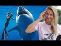 Should ocean ramsey touch great white sharks