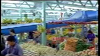 Five Adverts 2008 (11)