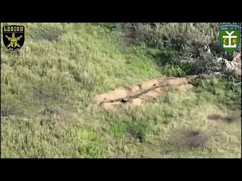 Ukrainian Drones Drop Bombs On Russian Positions On Frontlines