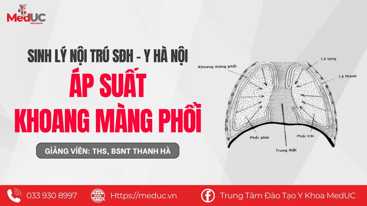 [Sinh Lý Hô Hấp] #6 Áp Suất Khoang Màng Phổi | Sinh Lý Nội Trú SĐH Y Hà Nội | MedUC