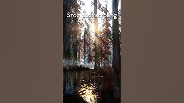 Stop doomscrolling #skyrim #ambient #advice #motivational #gaming #doomscrolling #dream