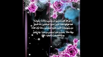 #خلفيات #دينية سورة البقرة آية 26
