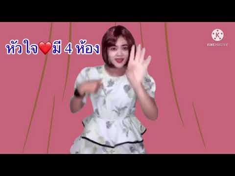 เพลงระบบหมุนเวียนเลือด (หัวใจ)