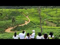 Our Trip To Sri Lanka Jun 2023 Our Trip To Sri Lanka Jun 2023