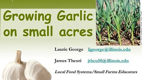 Growing Garlic on Small Acres