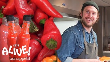 Brad Makes Fermented Hot Sauce | It