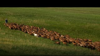 Rencontres en Terres de Chèvres Nouvelle-Aquitaine