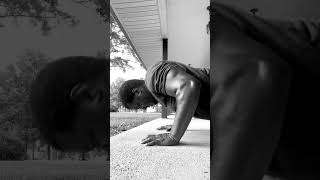 Really Digging These 200 Pushups A Day.