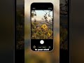 Instantly Improve Your Landscape Shots! ⛰️ #landscapephotography #iphonephotography #composition