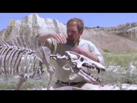 Доисторические Хищники Адский Кабан Энтелодонт National Geographic HD