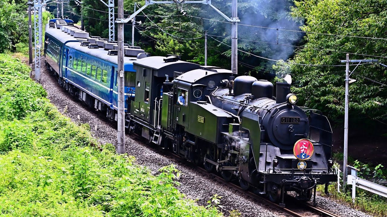 C11 123】SL大樹「ふたら」【C11 207】夏の終わり SL Taiju end of