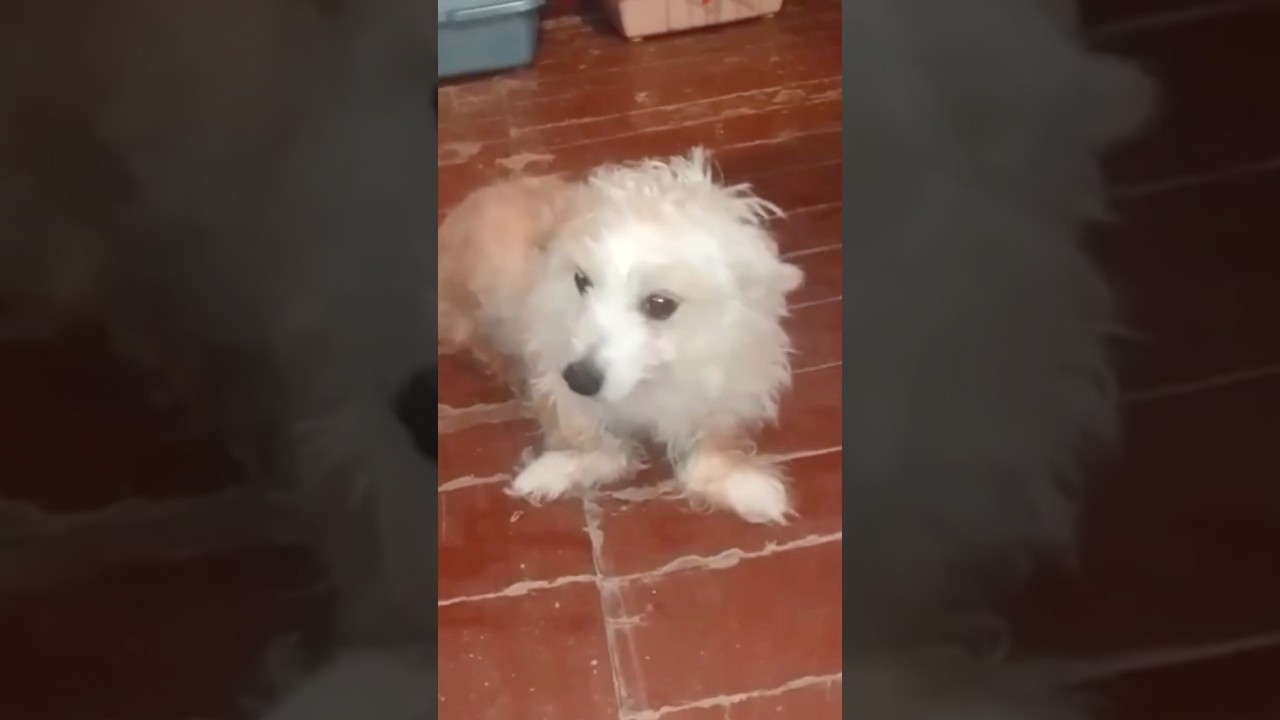 Она проявила невероятную силу духа и мужество, несмотря на трудный путь.