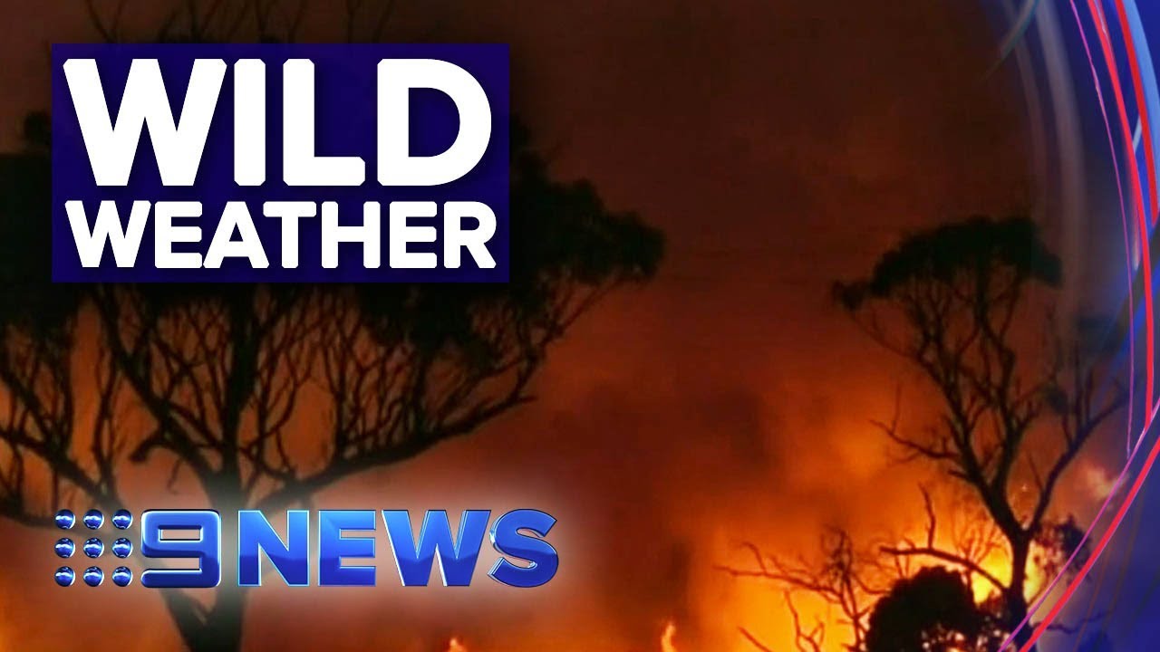 TAS brace for extreme fire danger and thunderstorms | Nine News ...