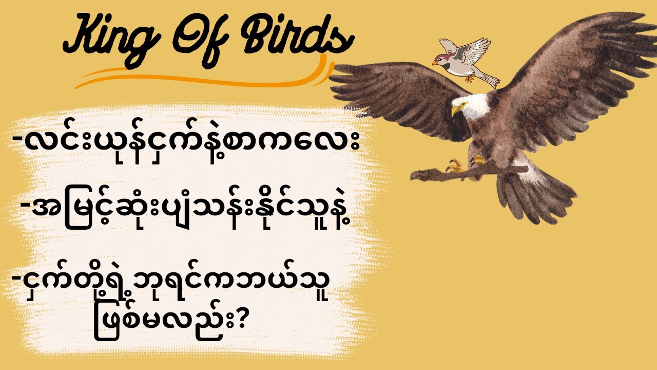 King Of Birdsငှက်တွေရဲ့ဘုရင်englishstoriesforlearning YouTube