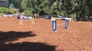 Kai Module 2 M Std Usdaa