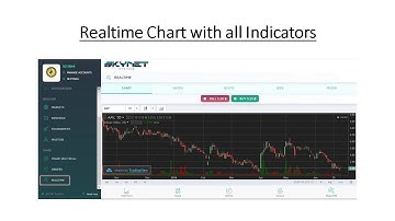 Money Manager Demo Guide