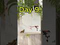 Help me quit my job #artchallenge #countdown #pixelart