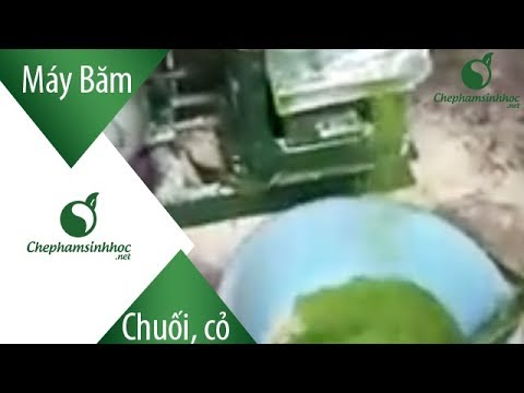 Video Máy băm chuối, cỏ voi, cây bắp nhuyễn làm thức ăn cho... - YouTube