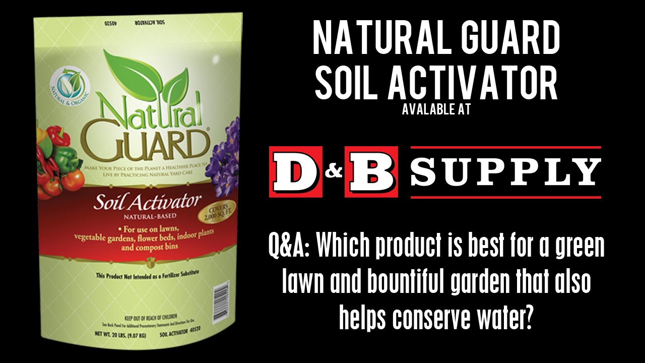 video phone beyonce mp3 Which product is best for a green lawn bountiful garden that helps conserve water?