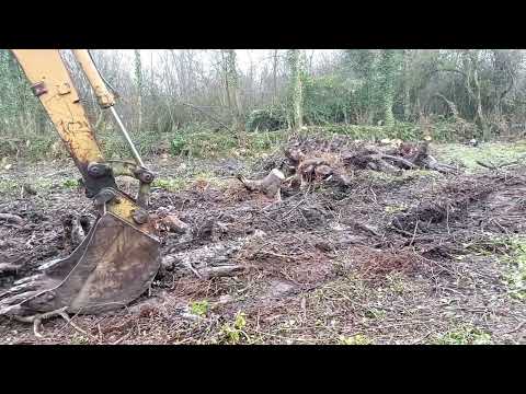 Tree stump removal
