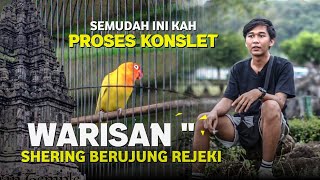 SEMUDAH INI KAH PROSES KONSLET ?? MEMBAHAS LOVEBIRD TATSAKA BERSAMA GALANG - Piala candi prambanan 2