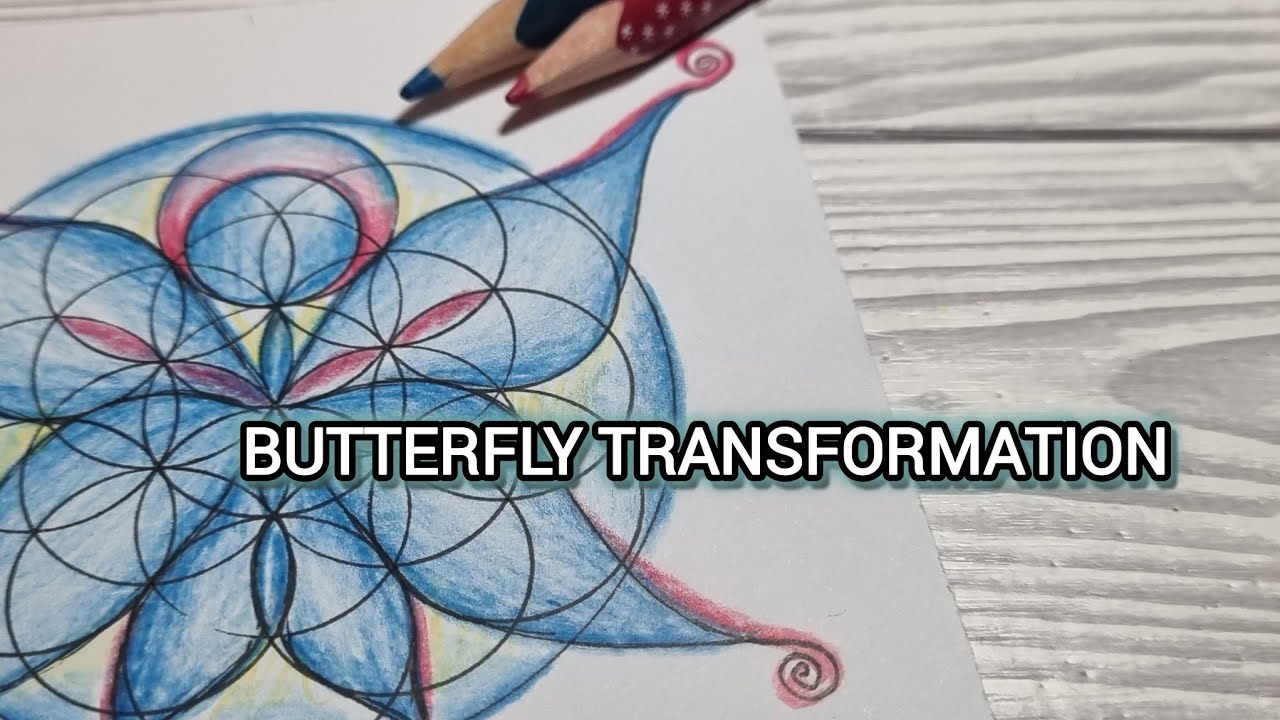 From Flower of Life to Butterfly | Sacred Geometry Art