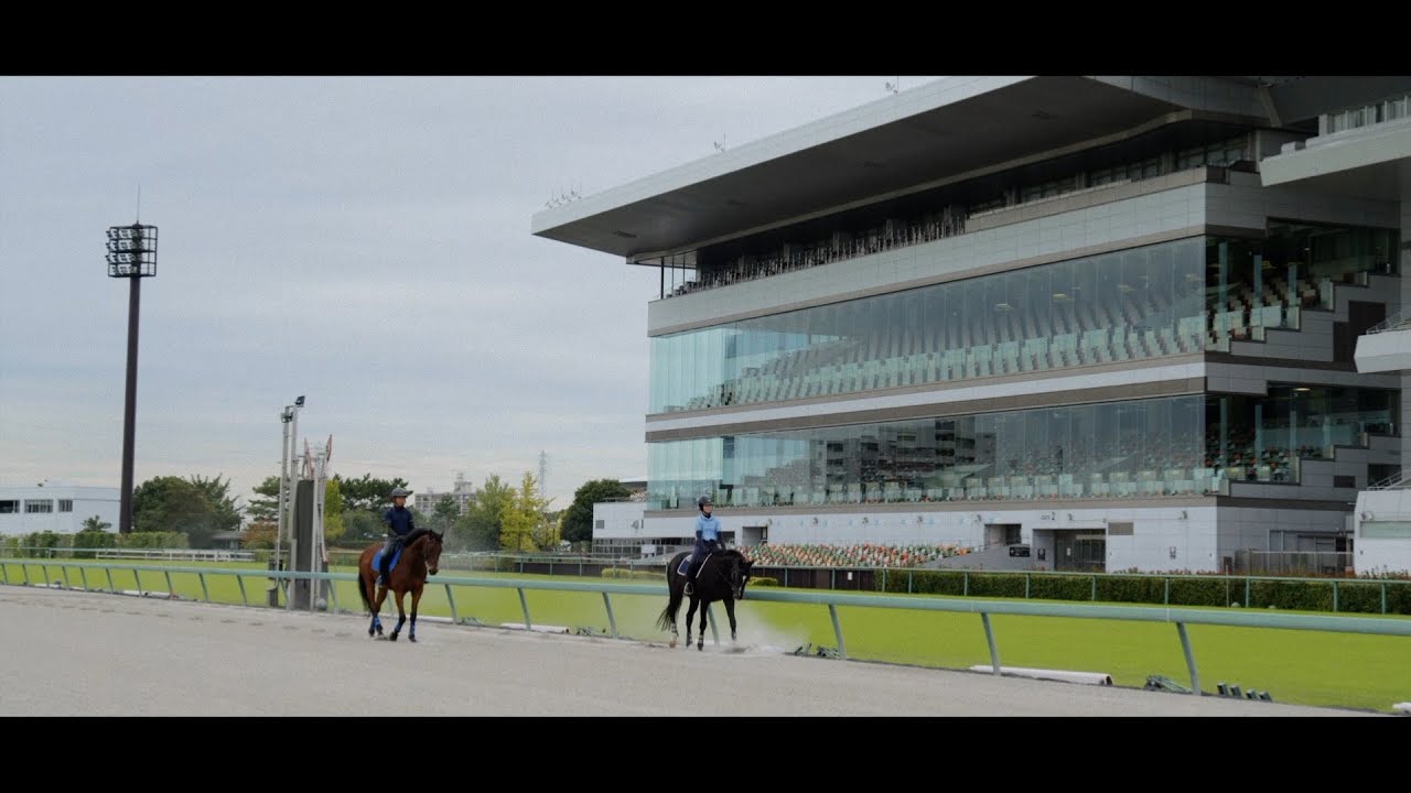 走り終えた馬の未来〜 Life After Racing 〜
