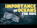 Ocean Health and Conservation Concepts